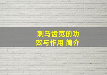 刺马齿苋的功效与作用 简介